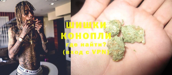 шишки Дмитровск