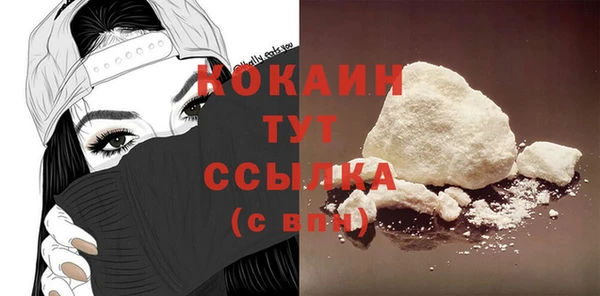 шишки Дмитровск