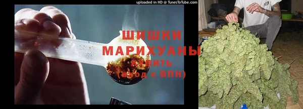 шишки Дмитровск