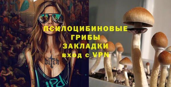 кокс Дмитриев