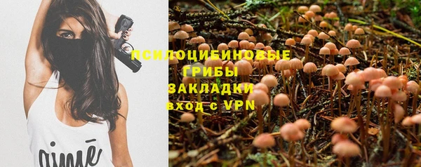 шишки Дмитровск