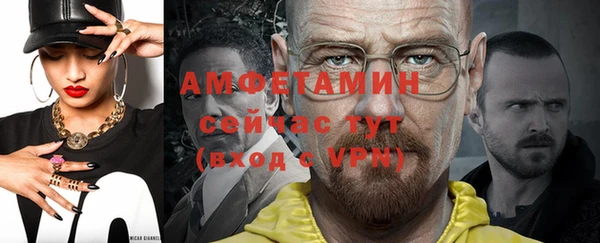 шишки Дмитровск