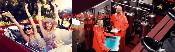 шишки Дмитровск